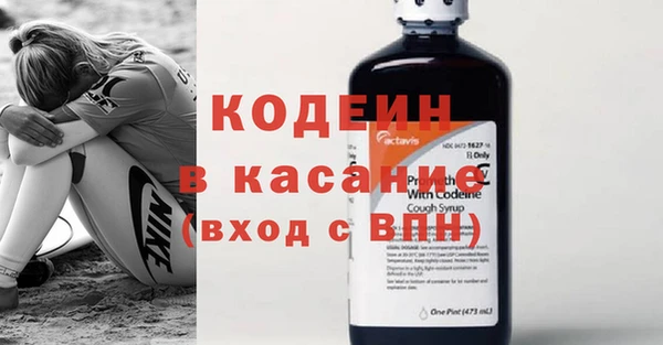 стаф Козловка